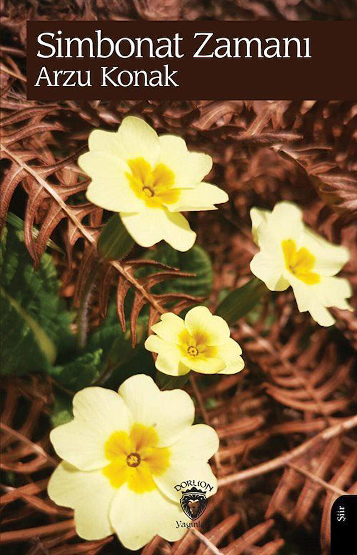 Simbonat Zamanı / Arzu Konak