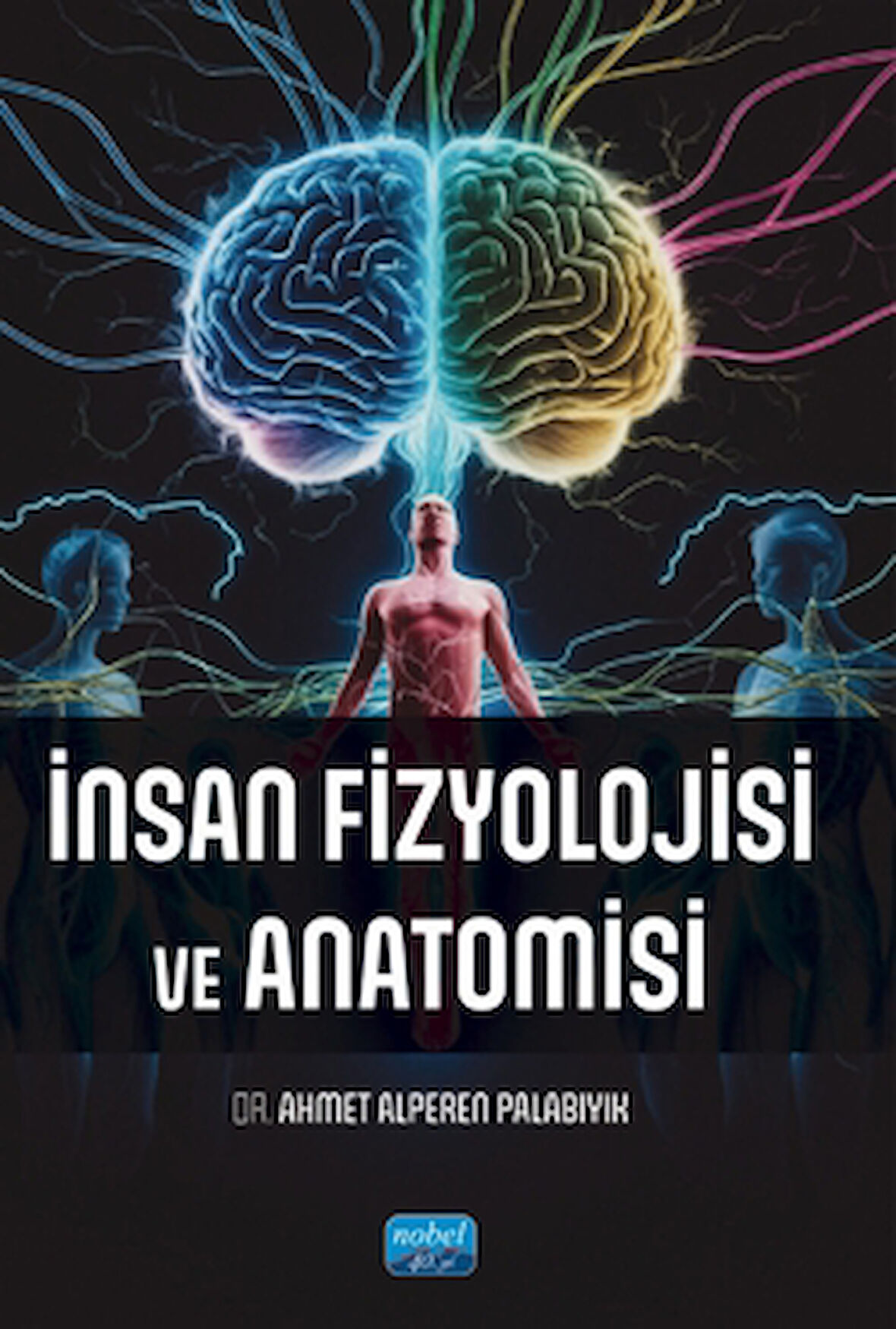 İnsan Fizyolojisi ve Anatomisi