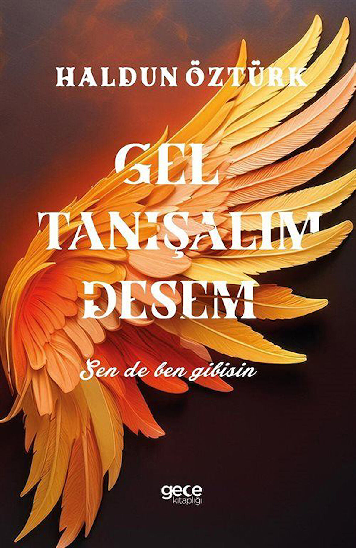 Gel Tanışalım Desem / Haldun Öztürk