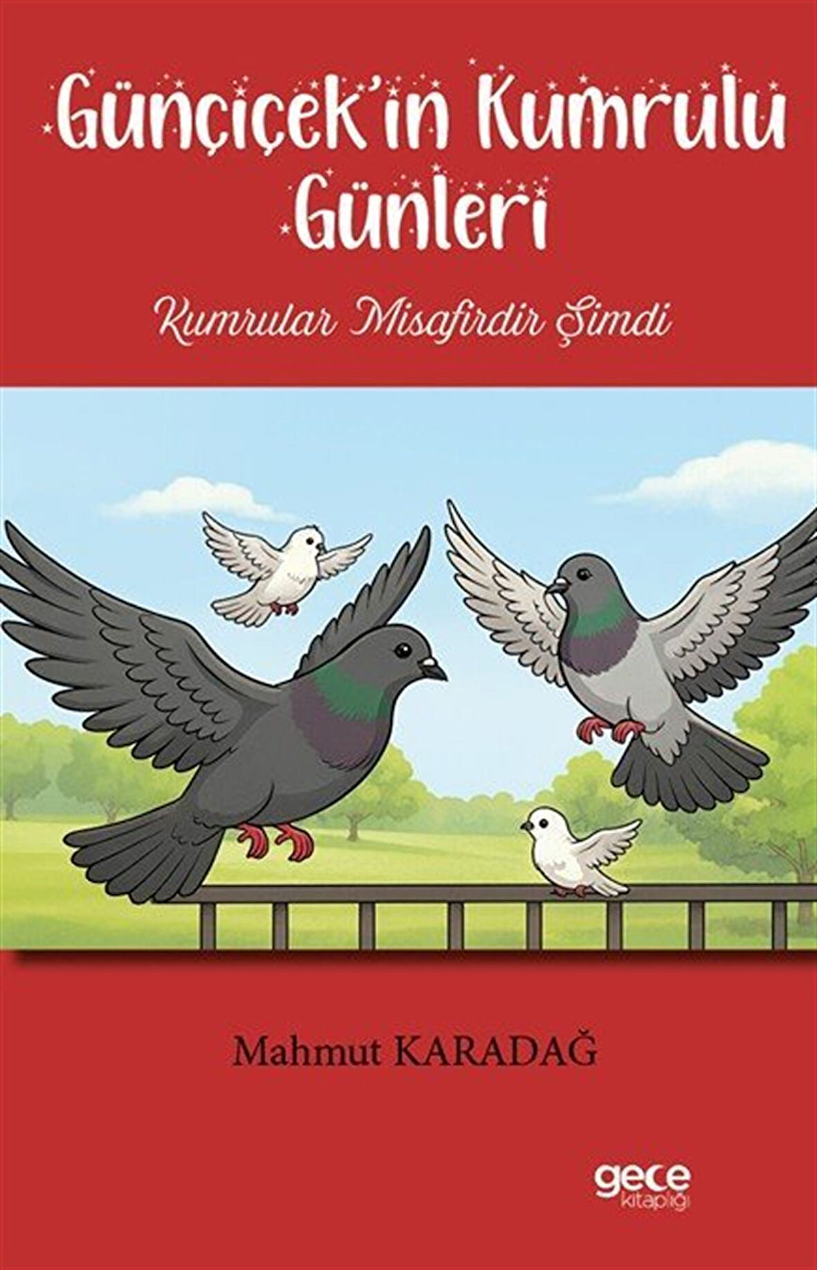 Günçiçek'in Kumrulu Günleri / Mahmut Karadağ
