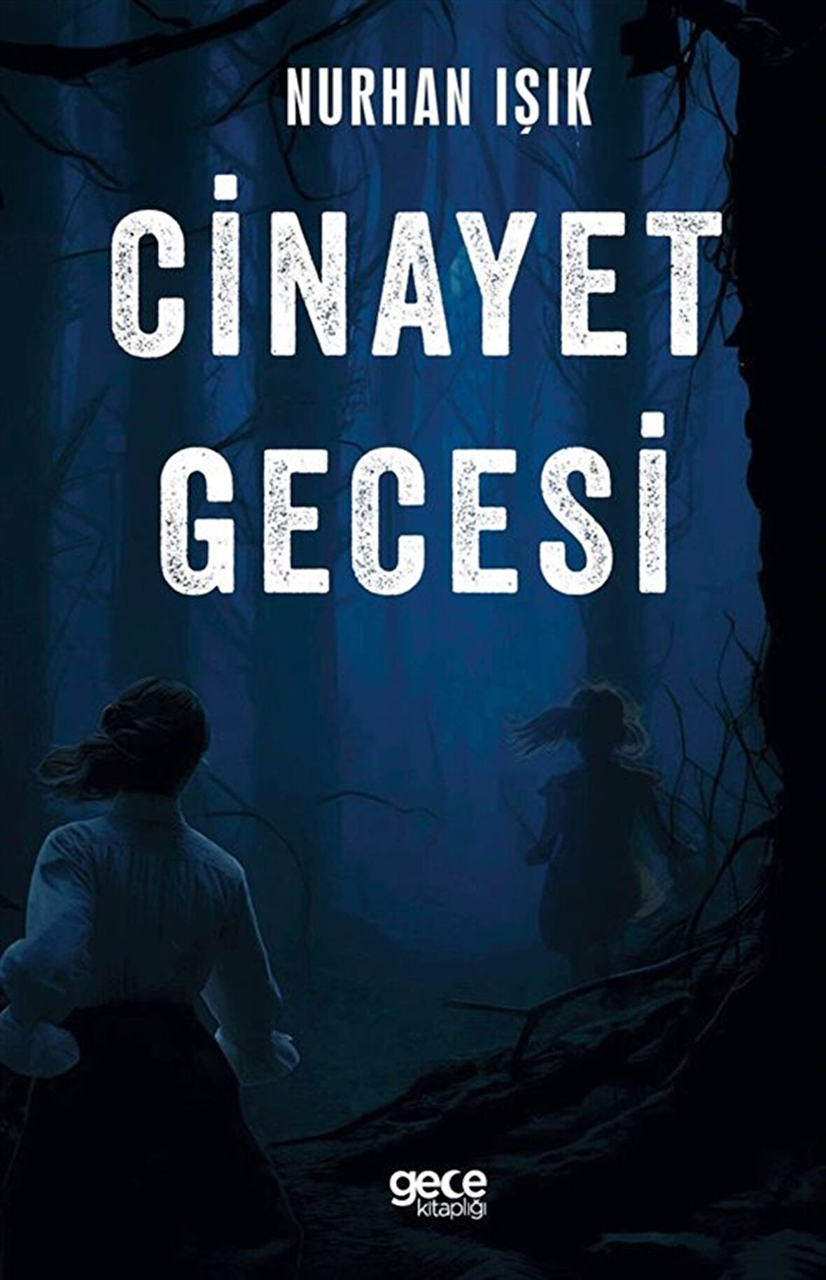 Cinayet Gecesi / Nurhan Işık