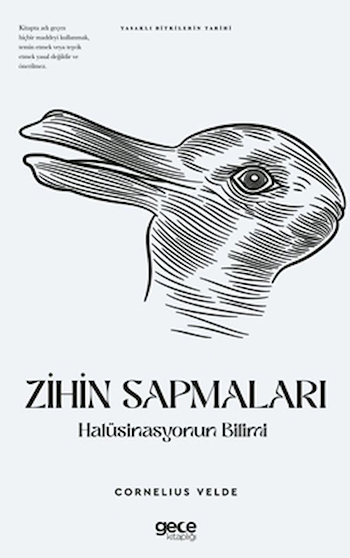 Zihin Sapmaları Halüsinasyonun Bilimi