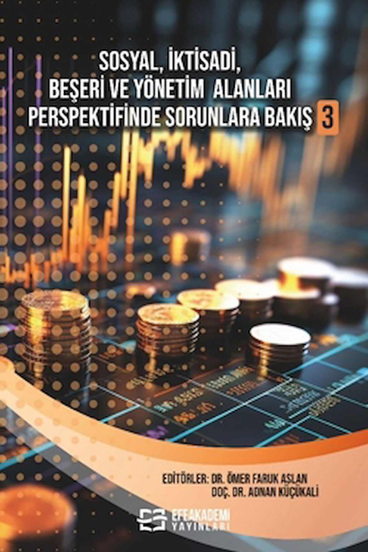 Sosyal, İktisadi, Beşeri ve Yönetim Alanları Perspektifinde Sorunlara Bakış 3