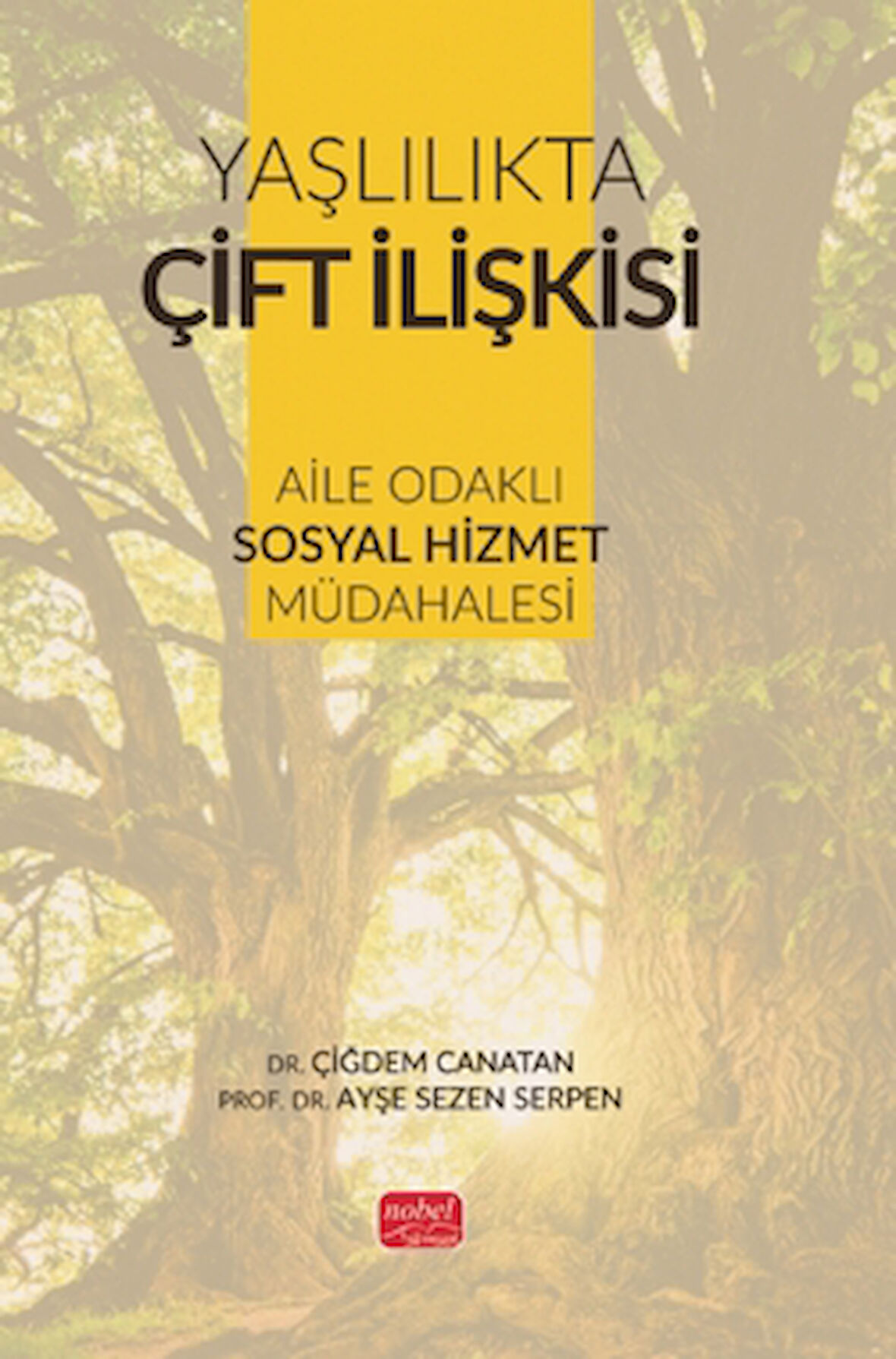 Yaşlılıkta Çift İlişkisi - Aile Odaklı Sosyal Hizmet Müdahalesi