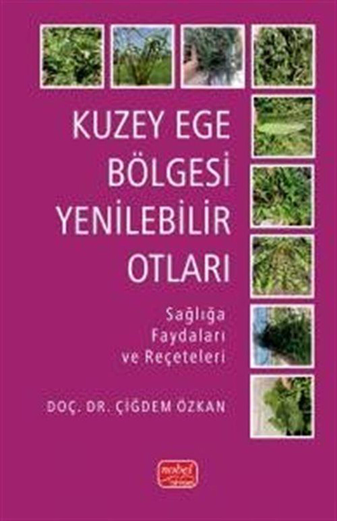 Kuzey Ege Bölgesi Yenilebilir Otları & Sağlığa Faydaları ve Reçeteleri / Dr Çiğdem Özkan