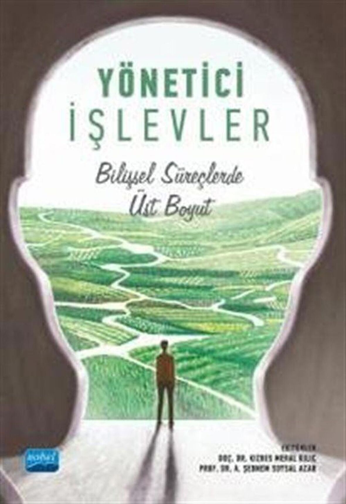 Yönetici İşlevler