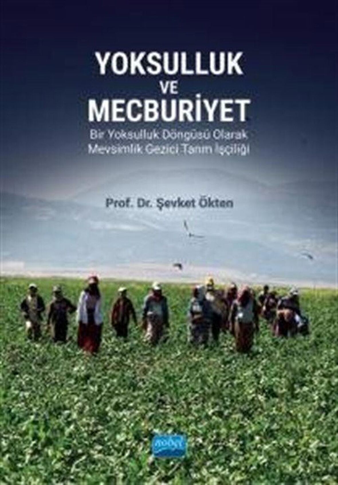 Yoksulluk ve Mecburiyet - Bir Yoksulluk Döngüsü Olarak Mevsimlik Gezici Tarım İşçiliği / Dr. Şevket Ökten