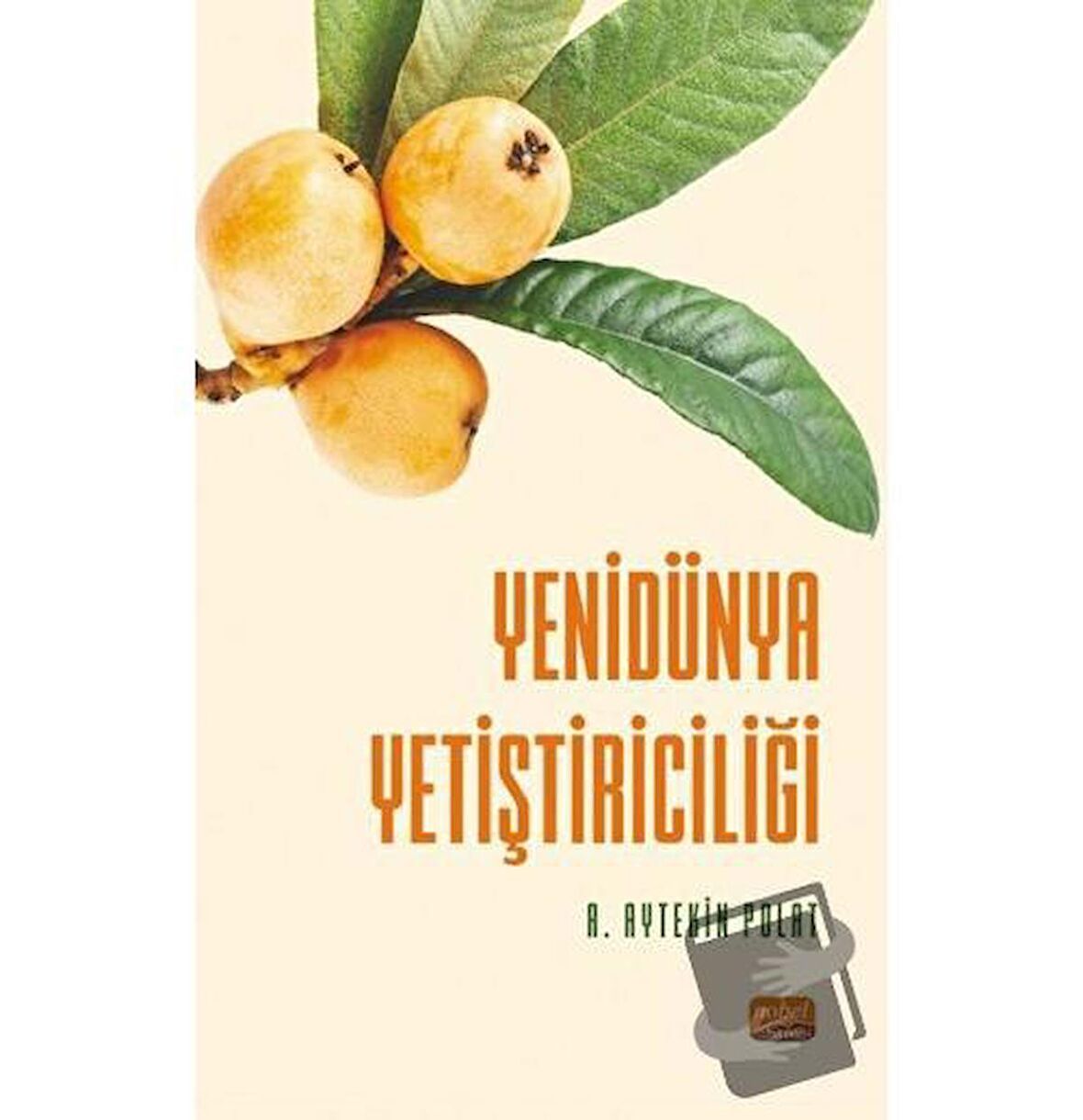 Yenidünya Yetiştiriciliği