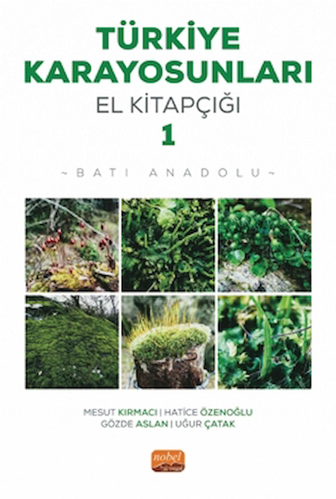 Türkiye Karayosunları El Kitapçığı I - Batı Anadolu