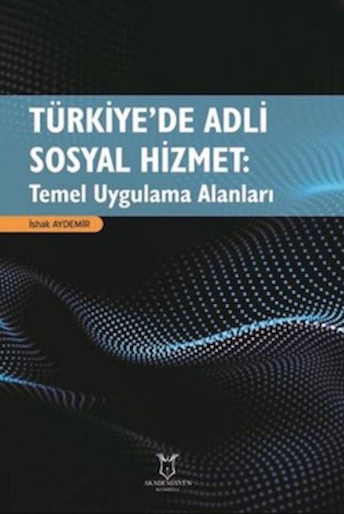 Türkiye’de Adli Sosyal Hizmet: Temel Uygulama Alanları