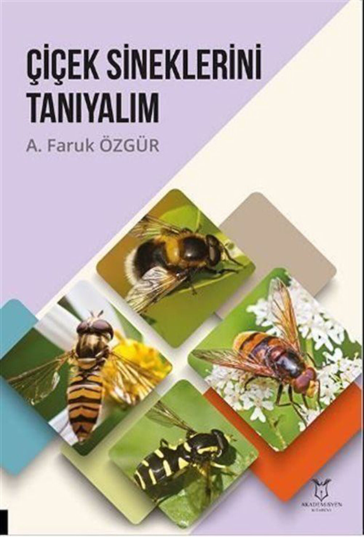 Çiçek Sineklerini Tanıyalım / A. Faruk Özgür