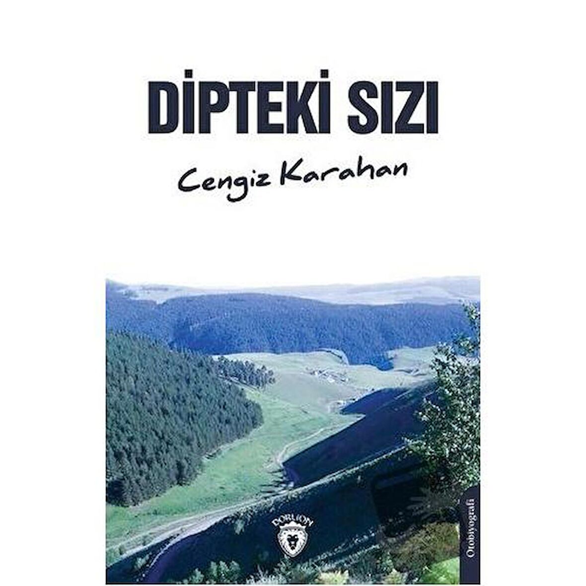 Dipteki Sızı