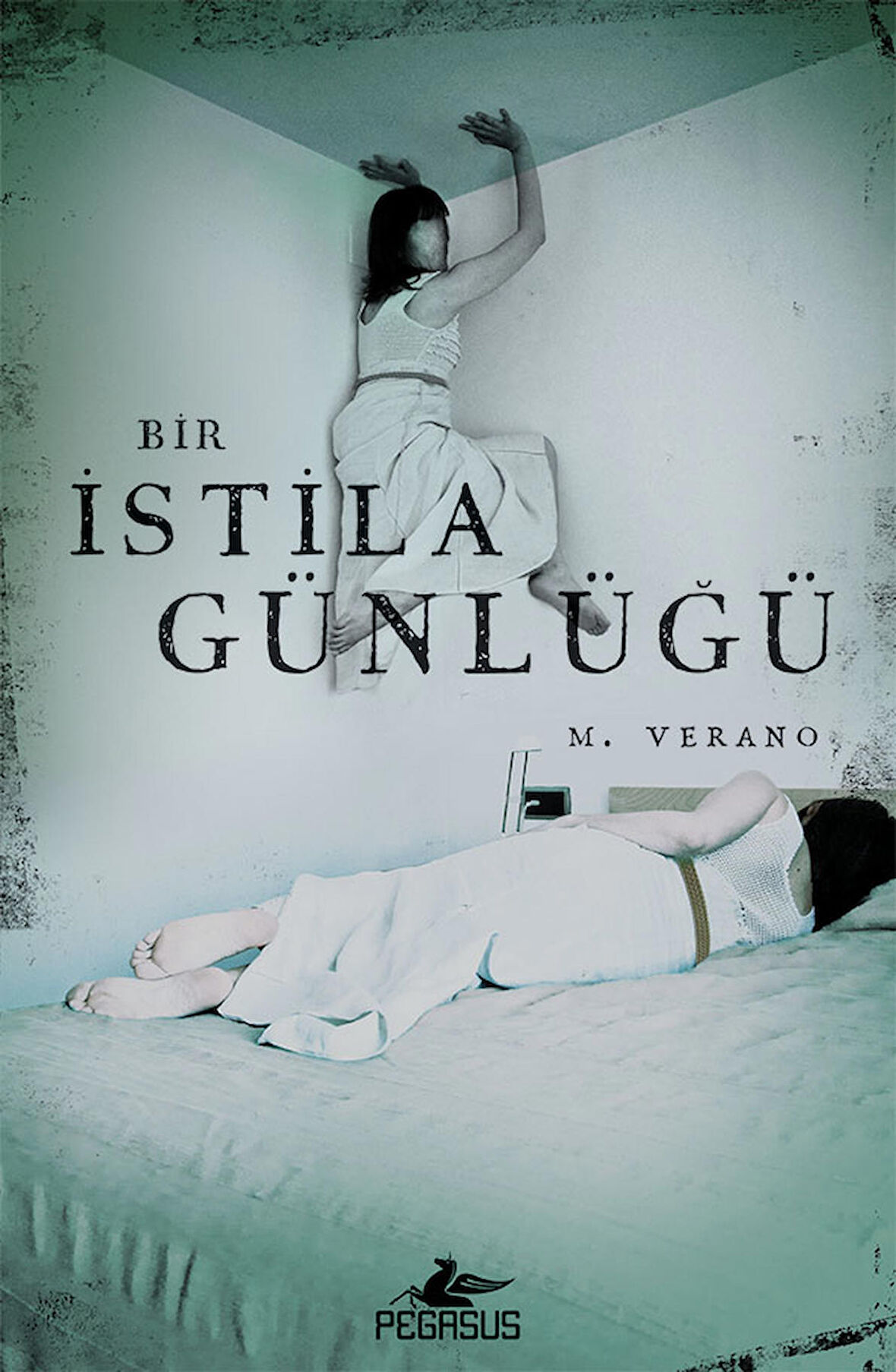 Bir İstila Günlüğü