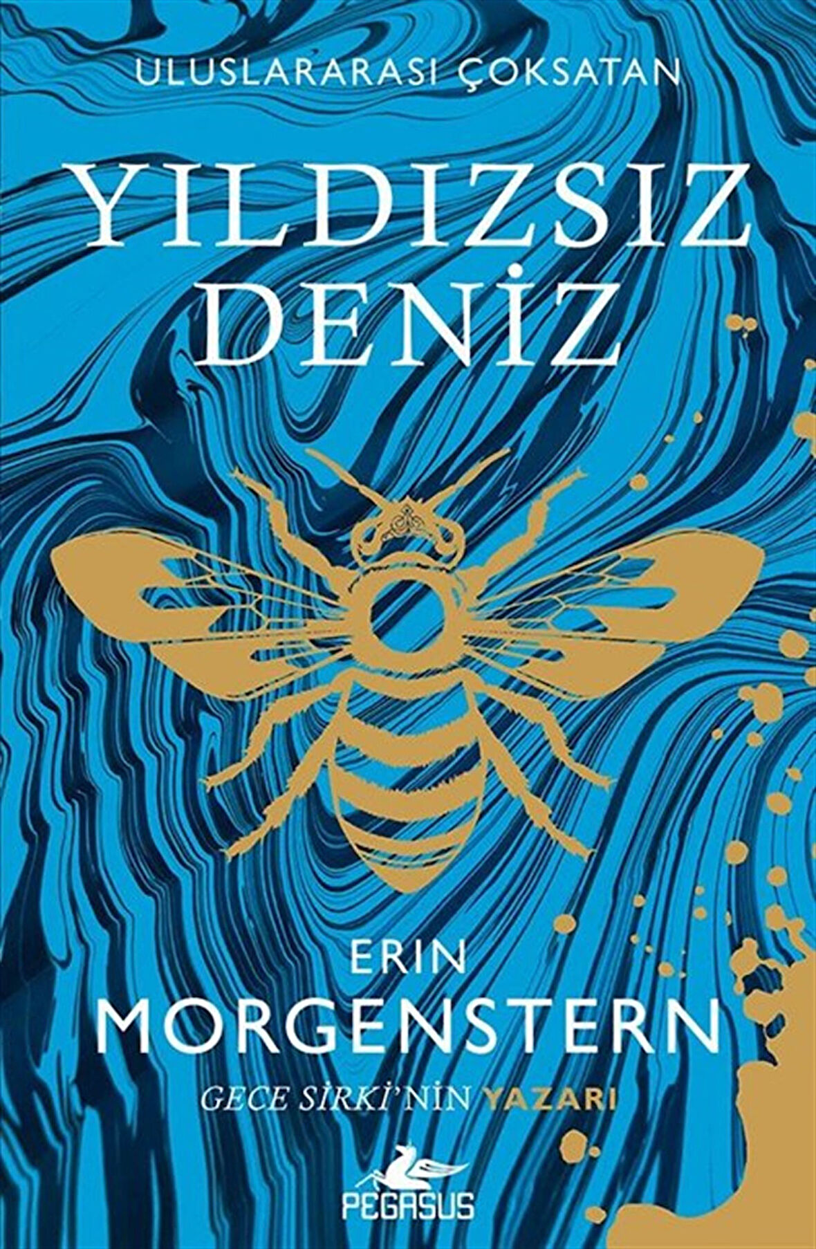 Yıldızsız Deniz / Erin Morgenstern