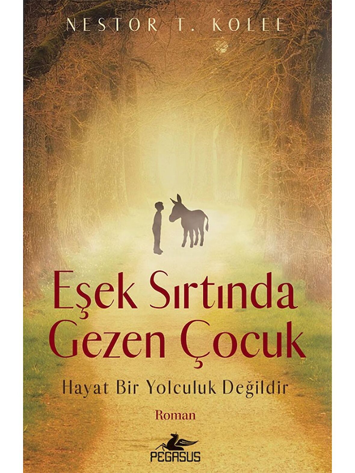 Eşek Sırtında Gezen Çocuk