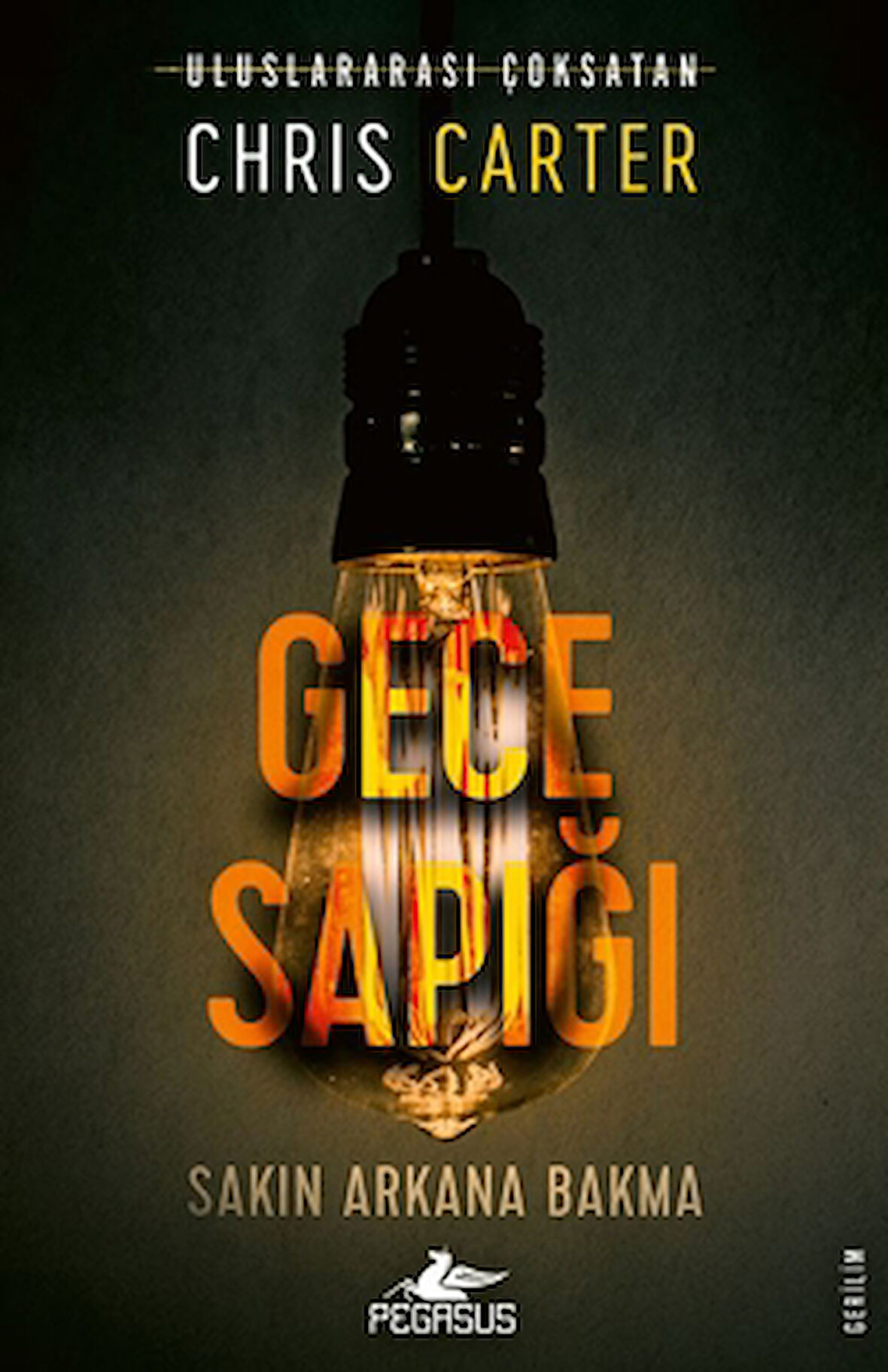 Gece Sapığı (Robert Hunter – 3)