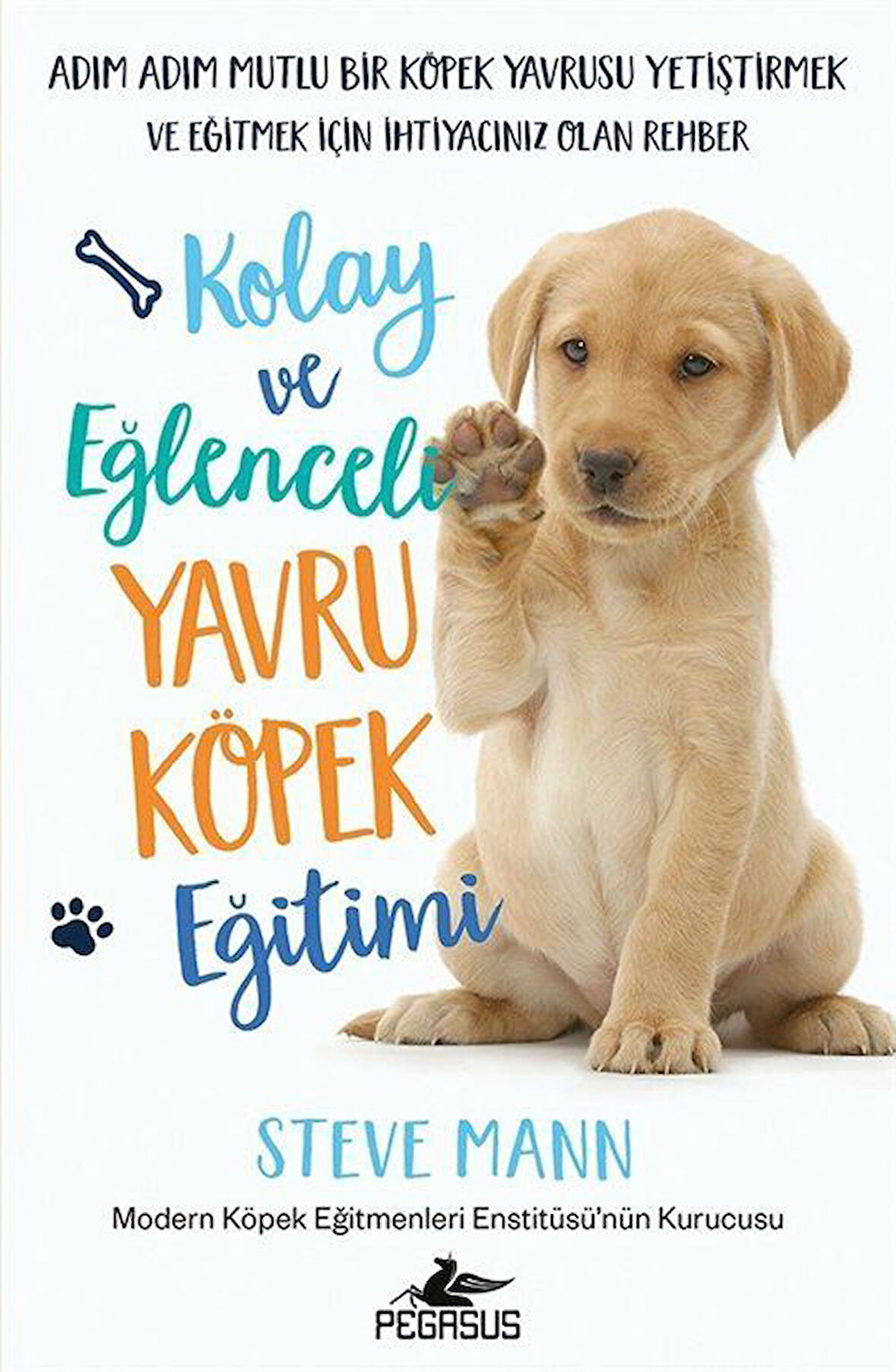 Kolay ve Eğlenceli Yavru Köpek Eğitimi / Steve Mann