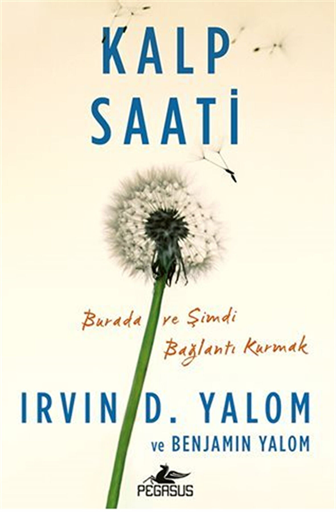 Kalp Saati / Irvin D. Yalom
