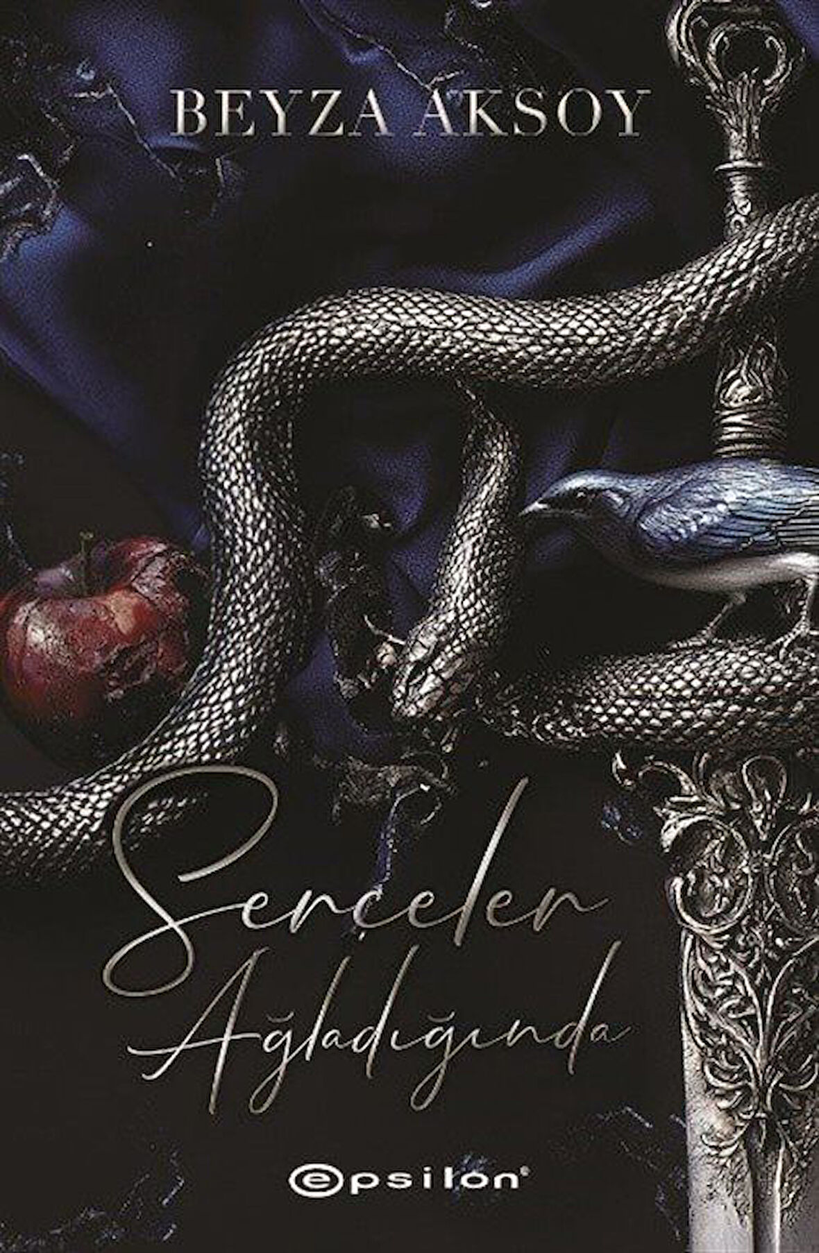 Serçeler Ağladığında (Karton Kapak) / Beyza Aksoy