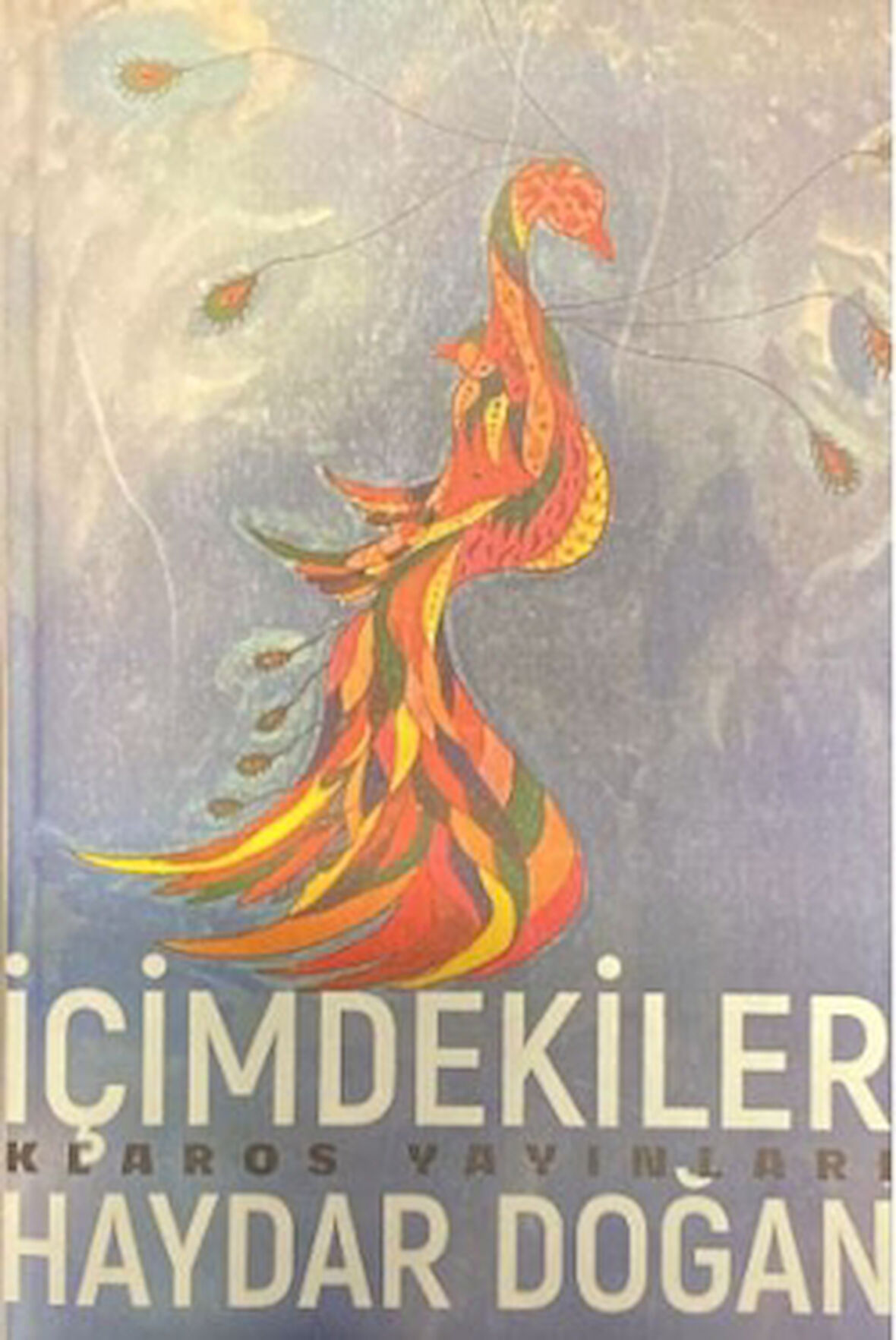 İçimdekiler