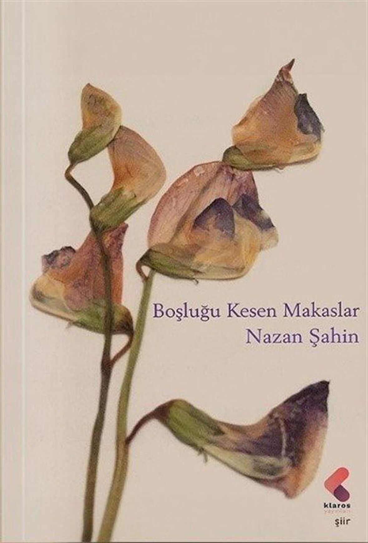 Boşluğu Kesen Makaslar / Nazan Şahin