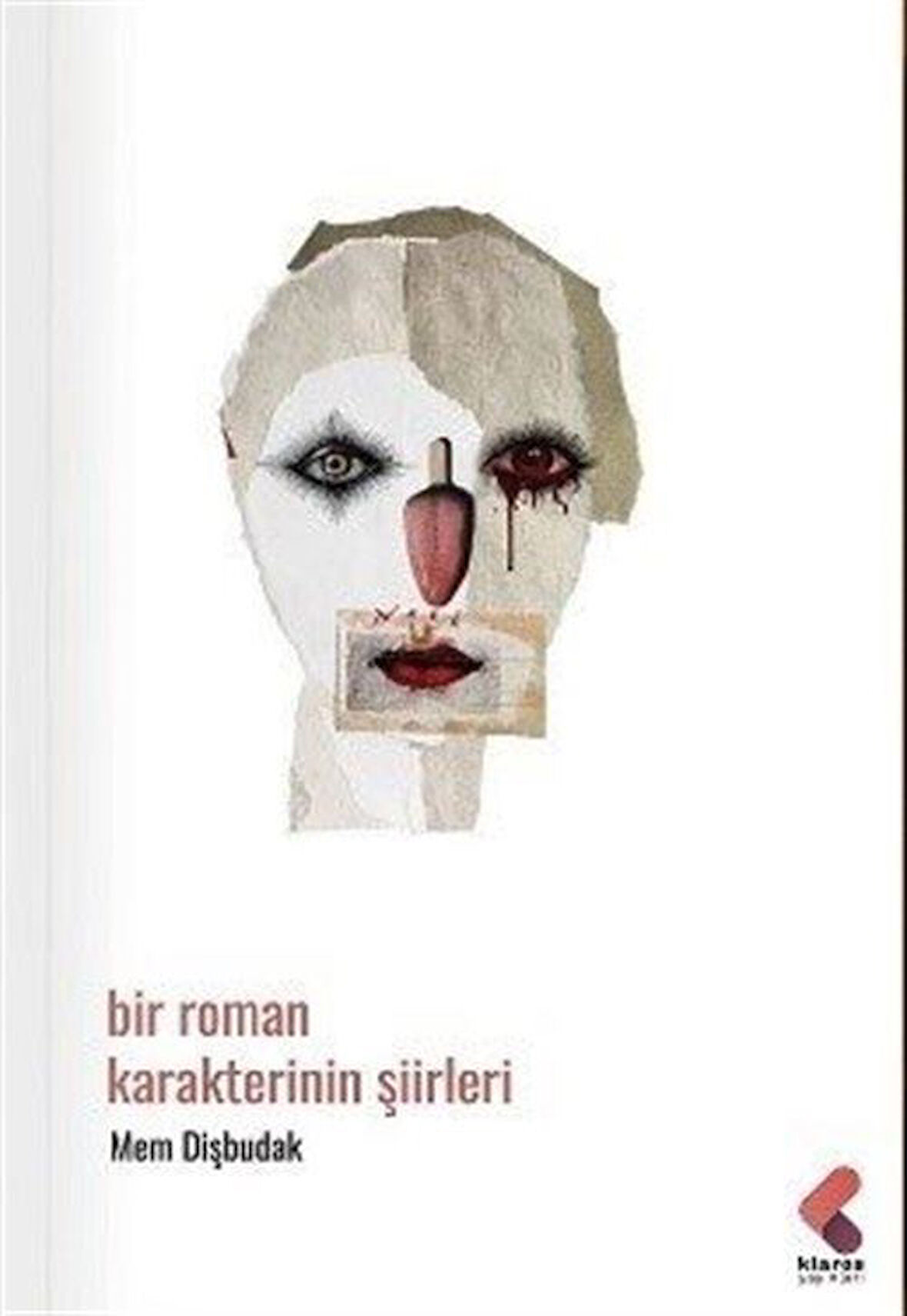 Bir Roman Karakterinin Şiirleri / Mem Dişbudak