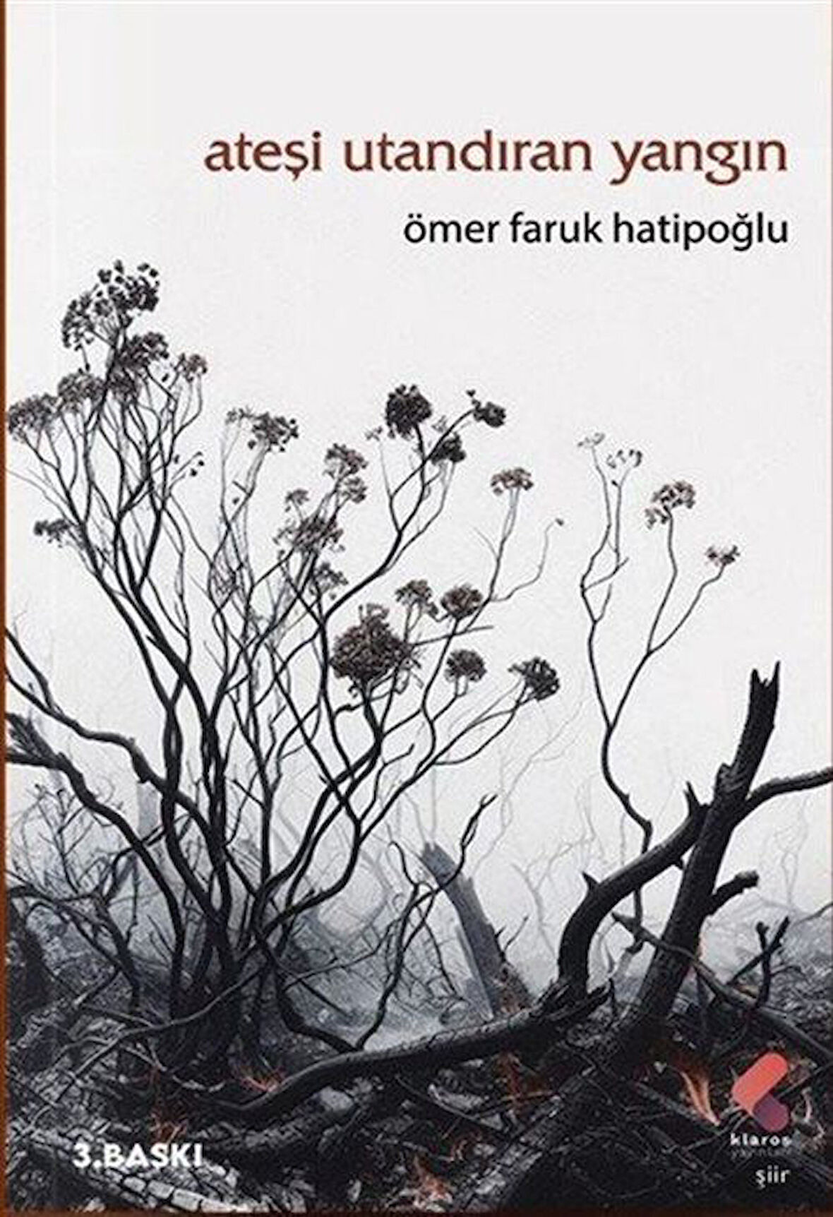 Ateşi Utandıran Yangın / Ömer Faruk Hatipoğlu