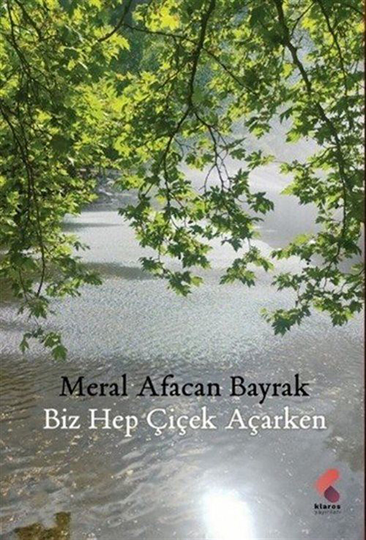 Biz Hep Çiçek Açarken / Meral Afacan Bayrak