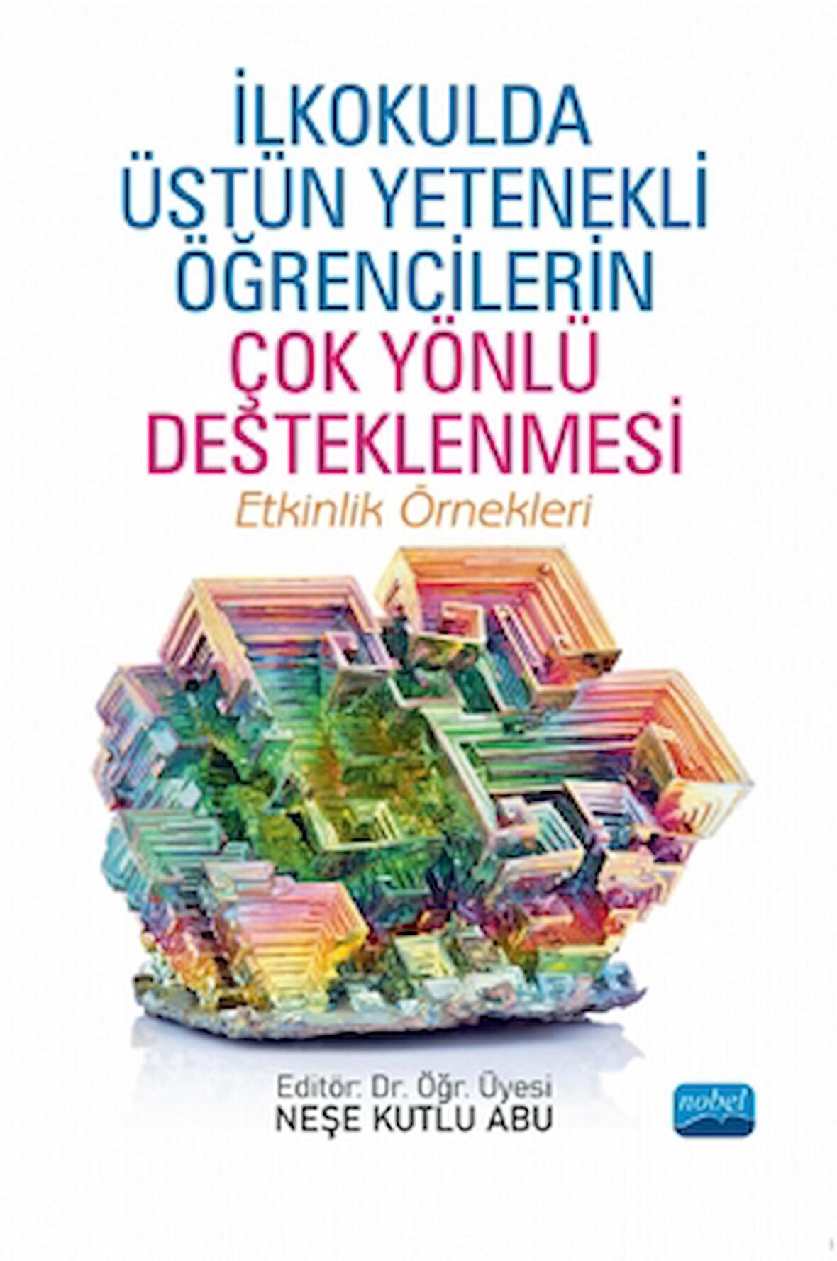 İlkokulda Üstün Yetenekli Öğrencilerin Çok Yönlü Desteklenmesi - Etkinlik Örnekleri