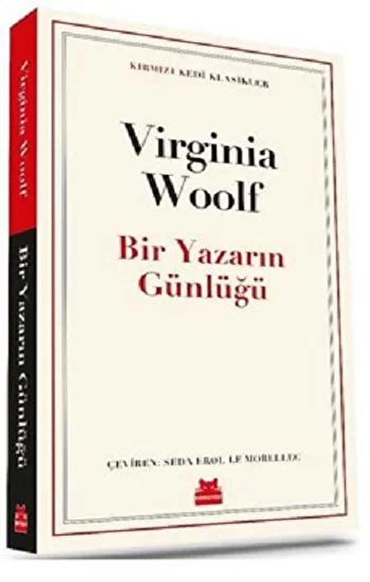 Bir Yazarın Günlüğü