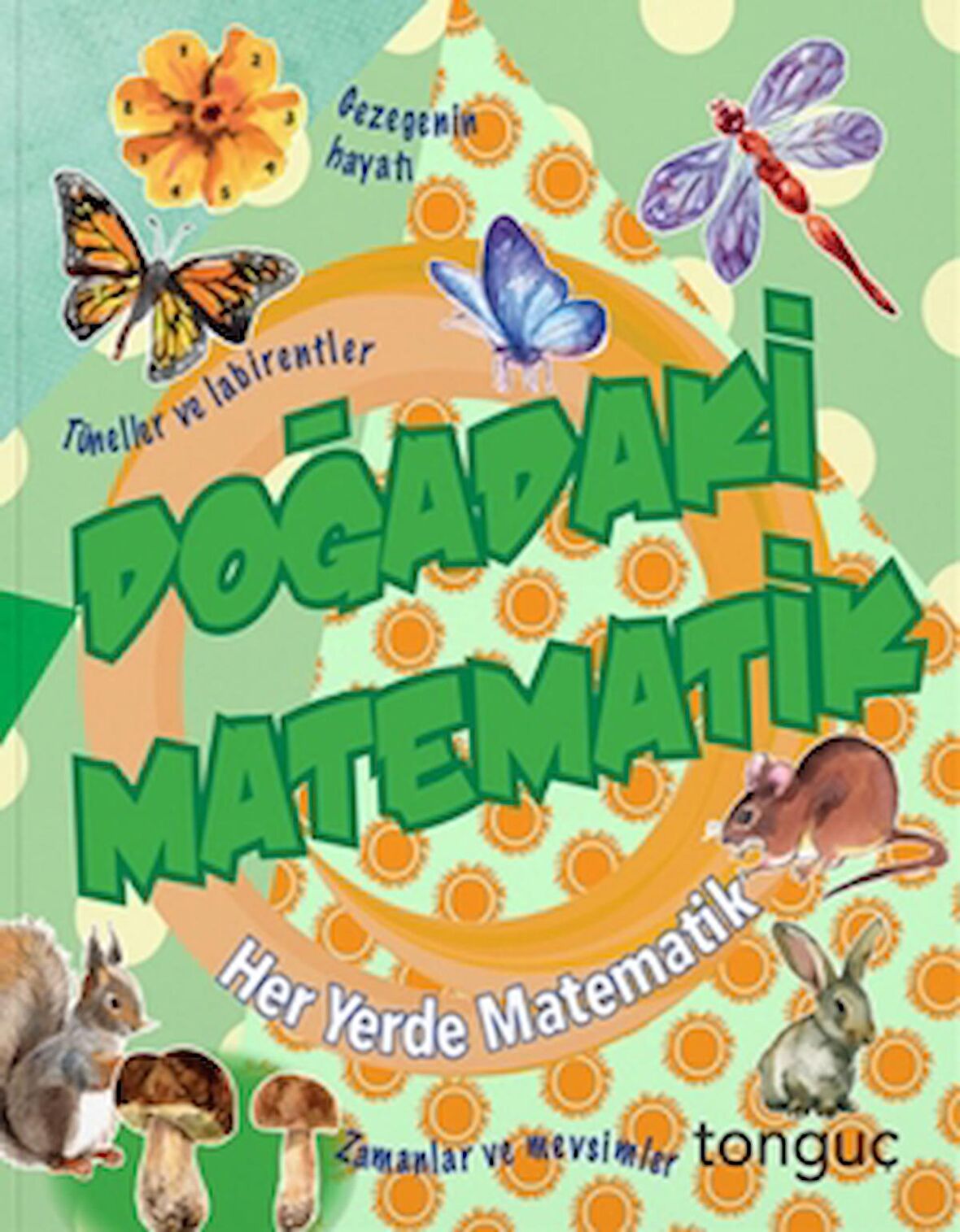 Her Yerde Matematik Serisi - Doğadaki Matematik