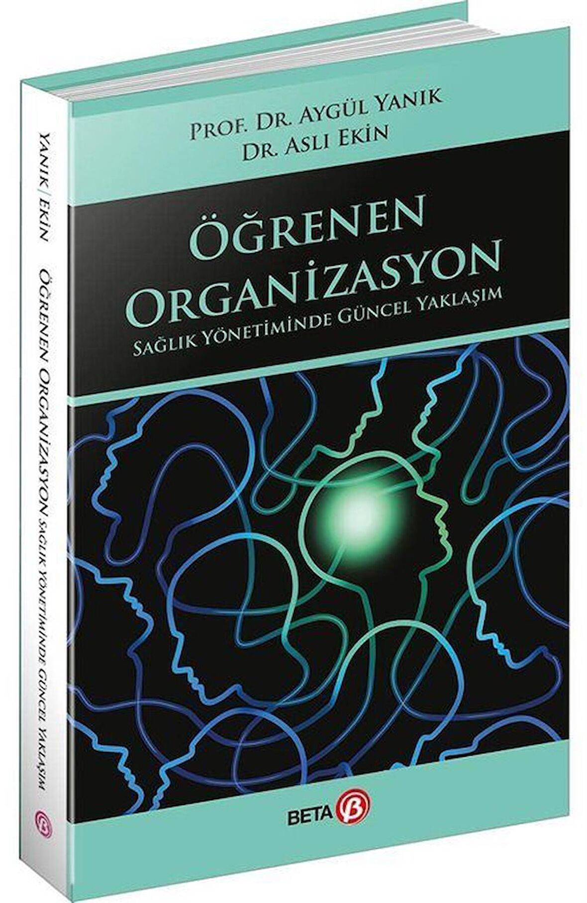 Öğrenen Organizasyon