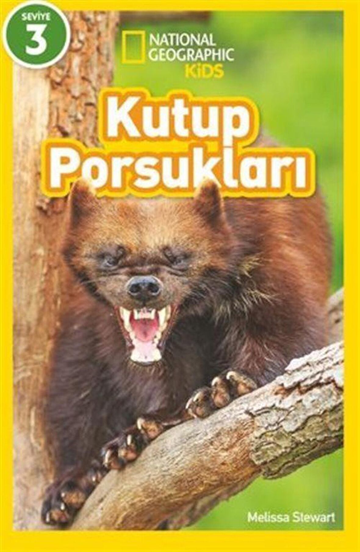 Kutup Porsukları - National Geographic Kids