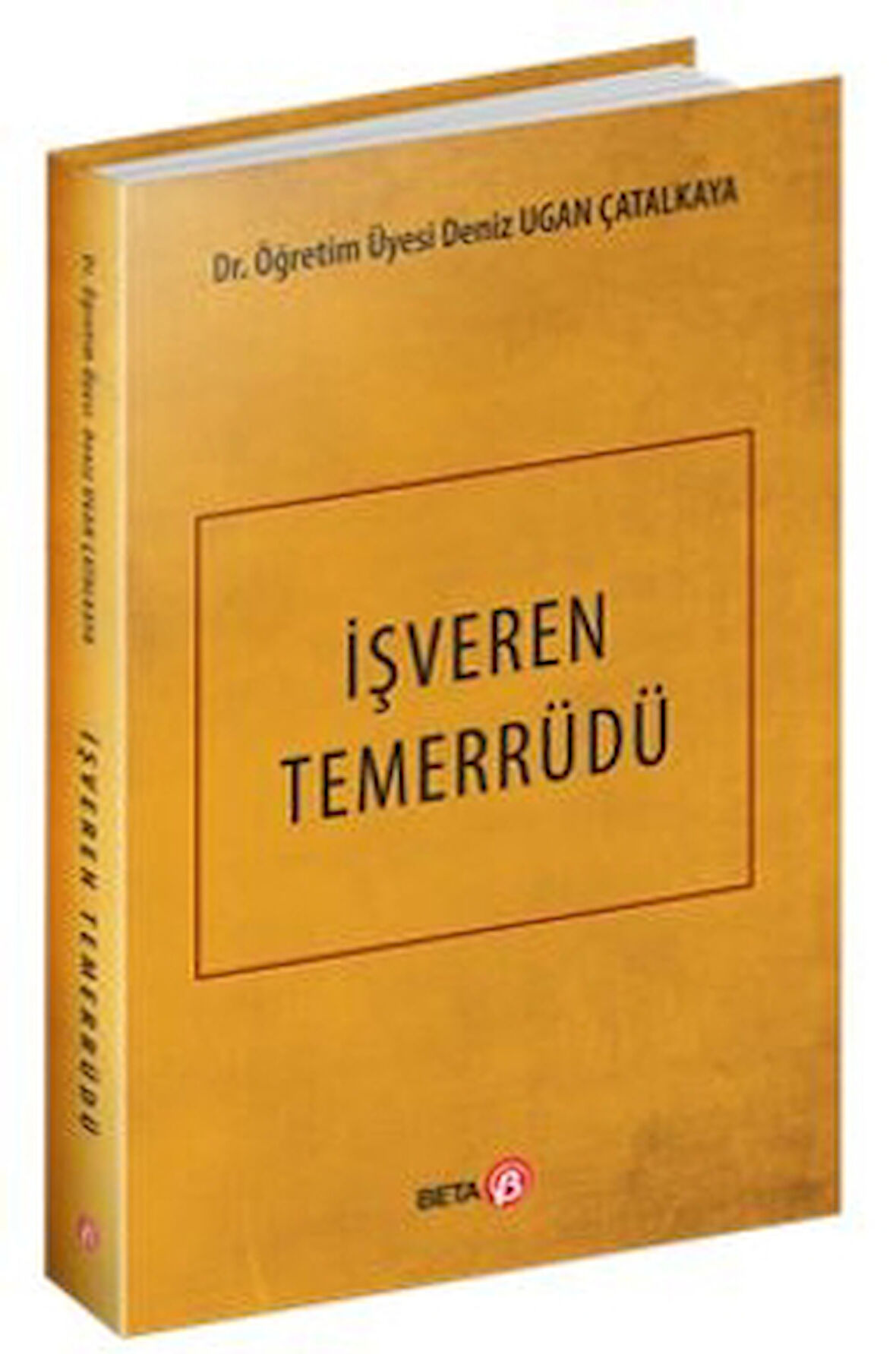 İşveren Temerrüdü
