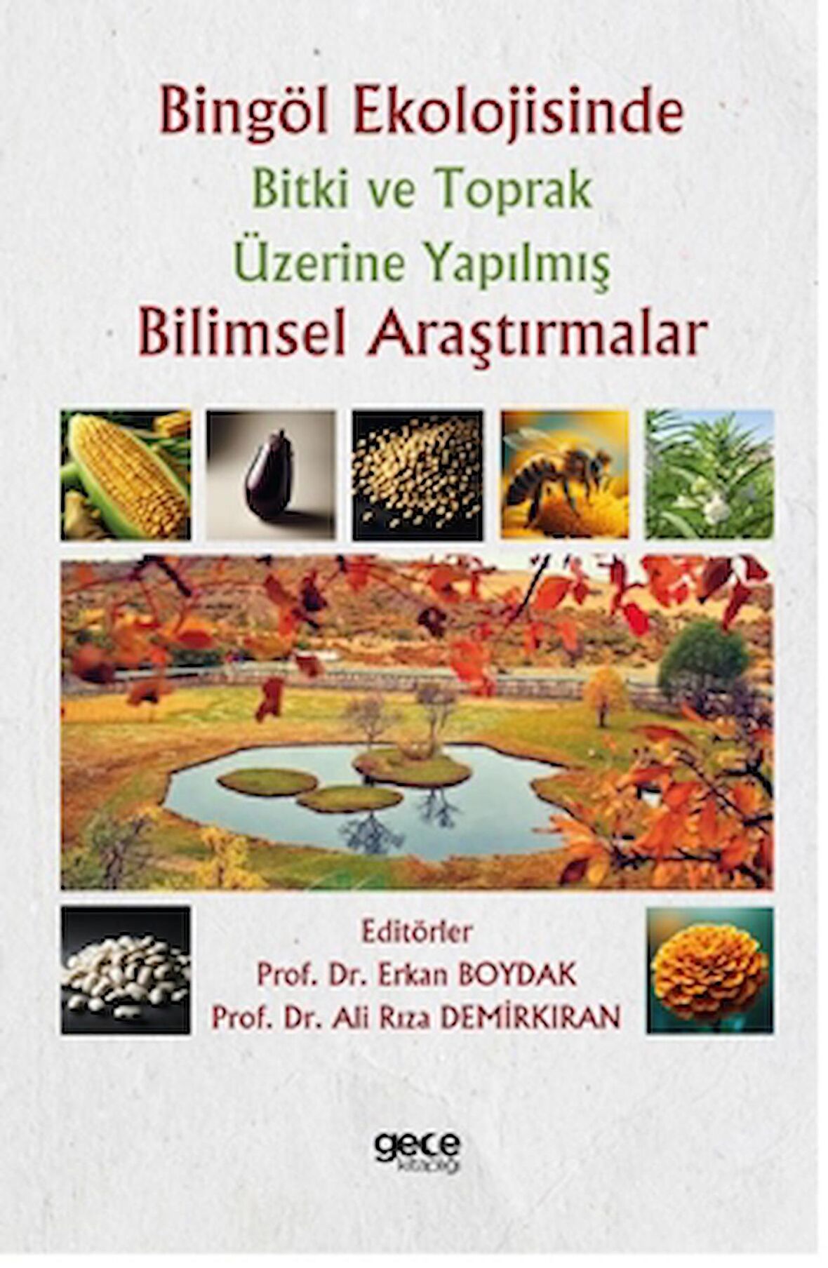 Bingöl Ekolojisinde Bitki ve Toprak Üzerine Yapılmış Bilimsel Araştırmalar
