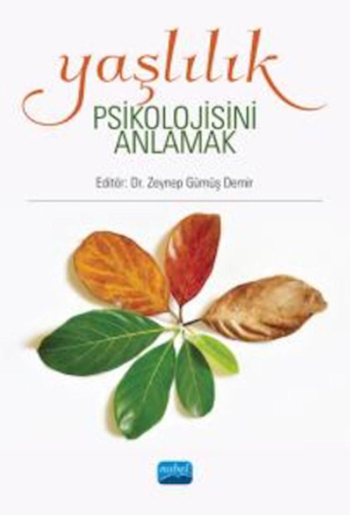 Yaşlılık Psikolojisini Anlamak