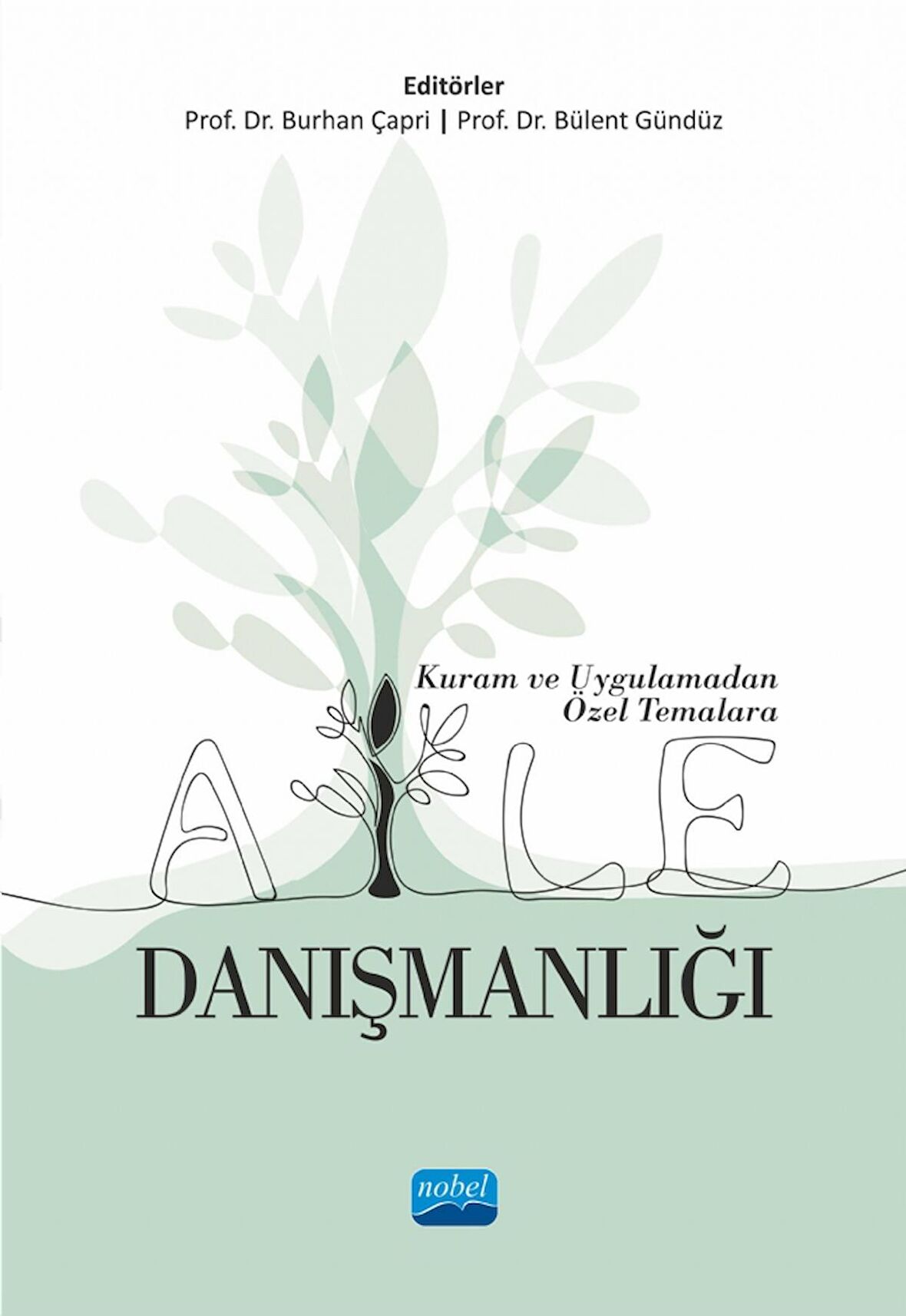 Kuram ve Uygulamadan Özel Temalara AİLE DANIŞMANLIĞI