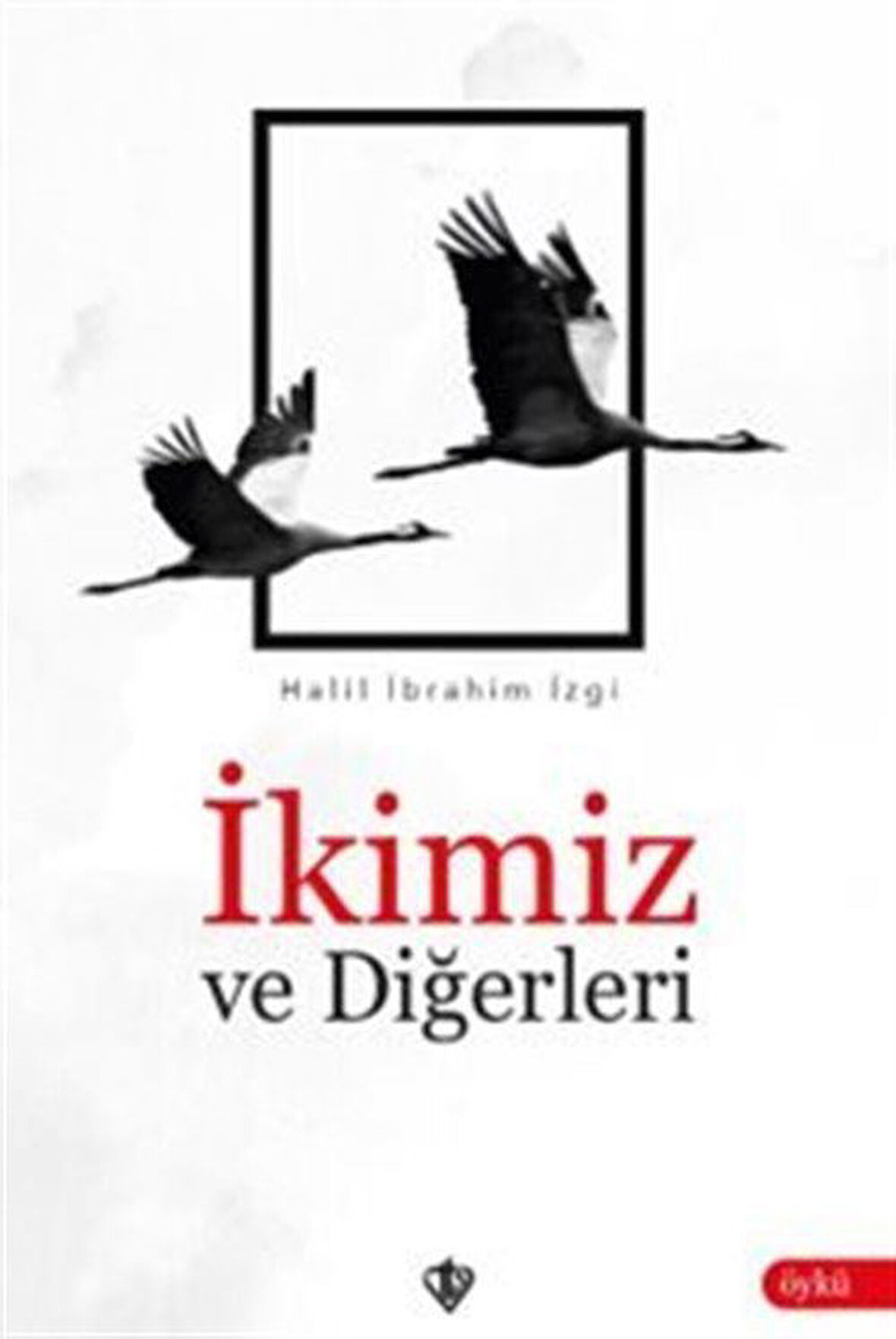 İkimiz ve Diğerleri / Halil İbrahim İzgi