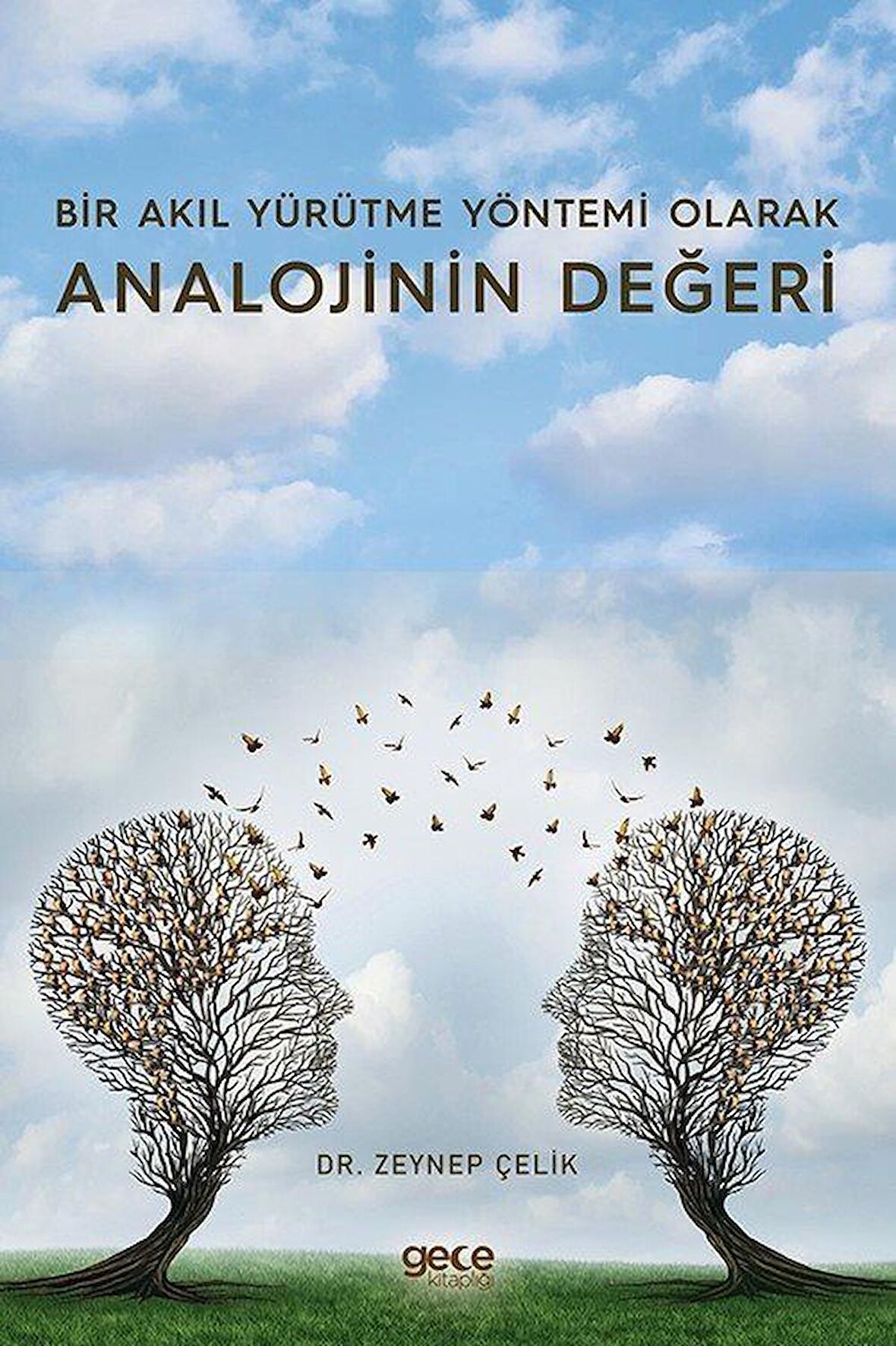 Bir Akıl Yürütme Yöntemi Olarak Analojinin Değeri