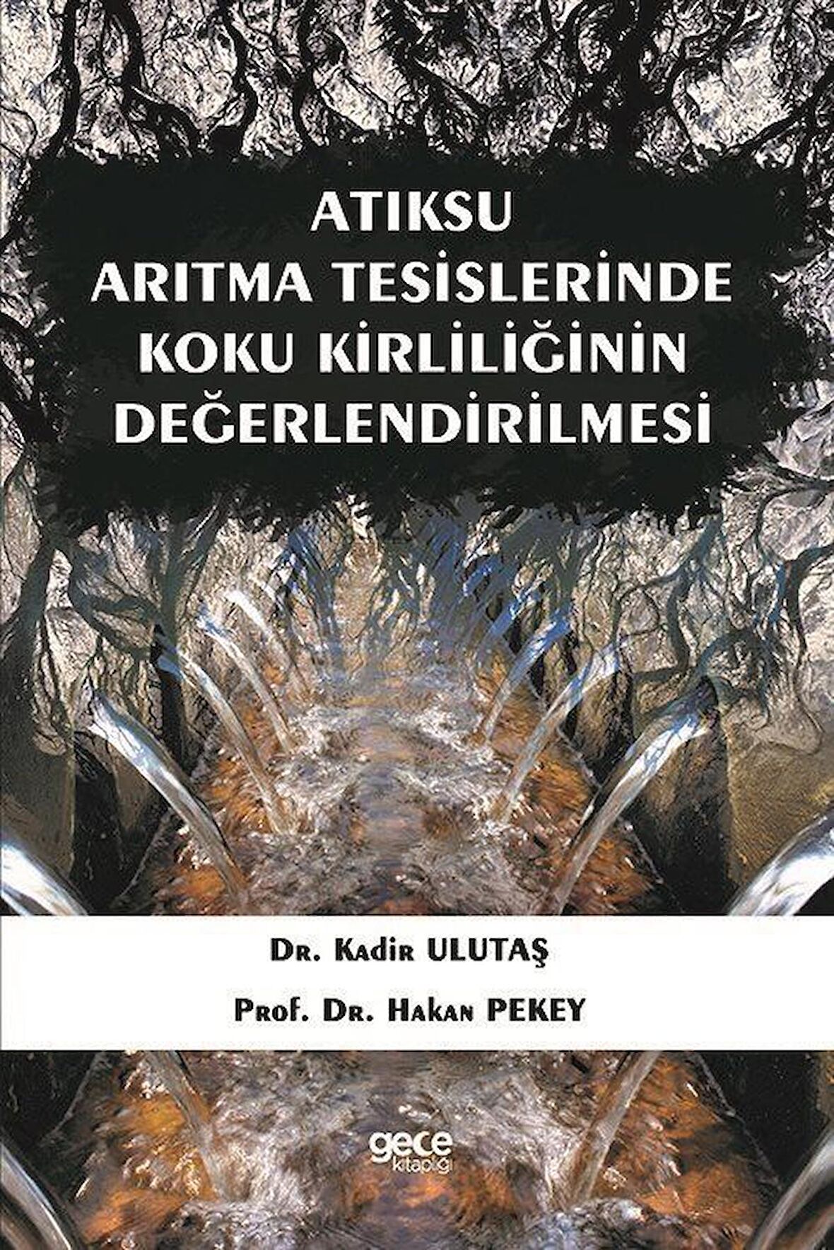 Atıksu Arıtma Tesislerinde Koku Kirliliğinin Değerlendirilmesi