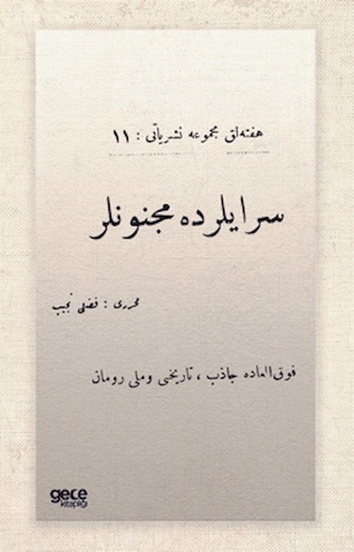 Saraylarda Mecnunlar (Osmanlıca)
