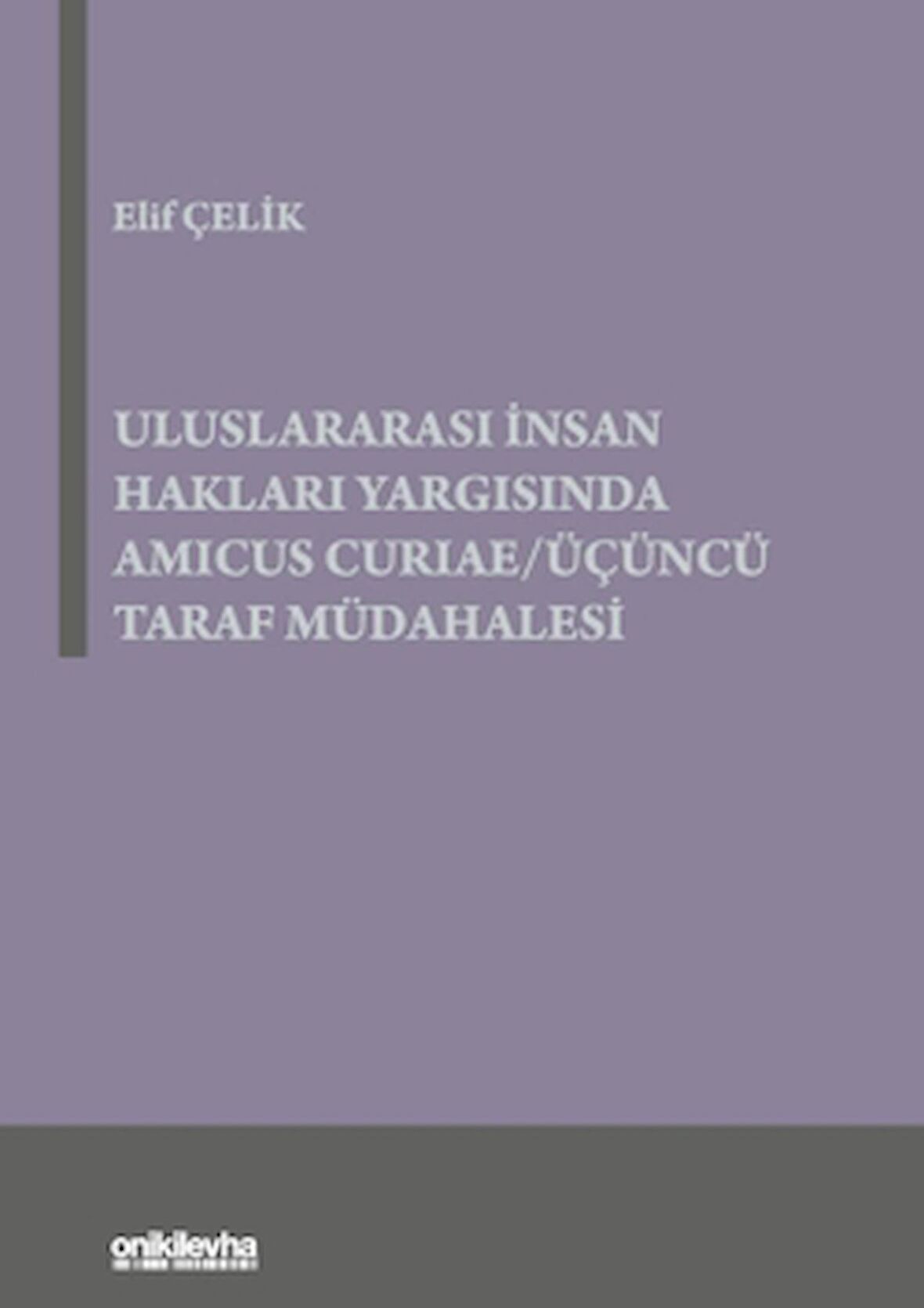 Uluslararası İnsan Hakları Yargısında Amicus Curiae - Üçüncü Taraf Müdahalesi