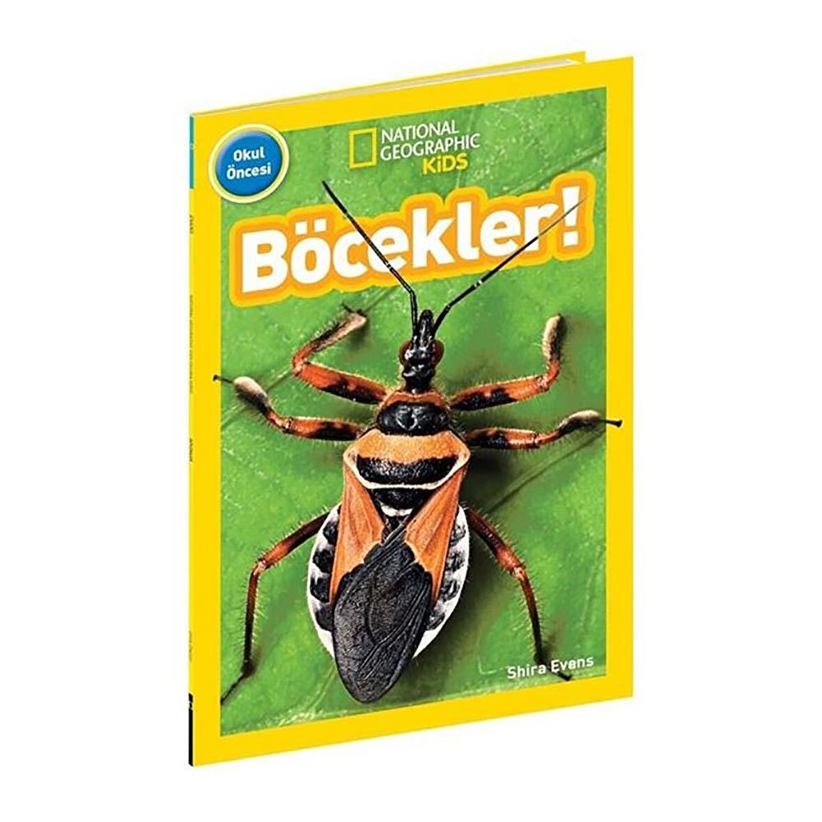 National Geographic Kids - Böcekler!