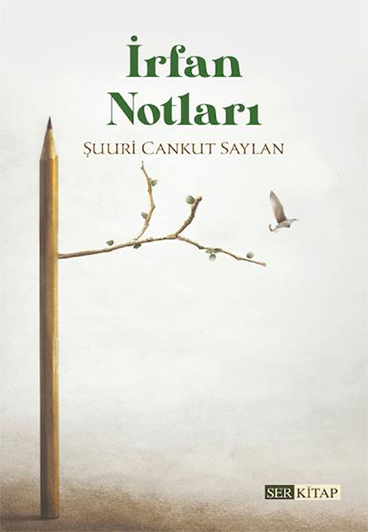 İrfan Notları - Şuuri Cankut Saylan