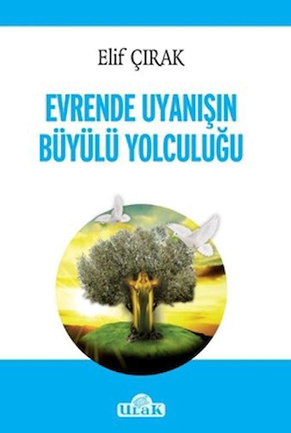 Evrende Uyanışın Büyülü Yolculuğu