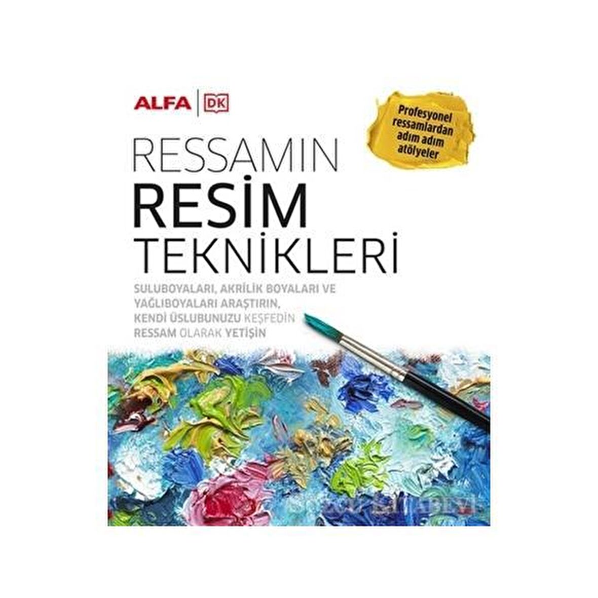 Ressamın Resim Teknikleri