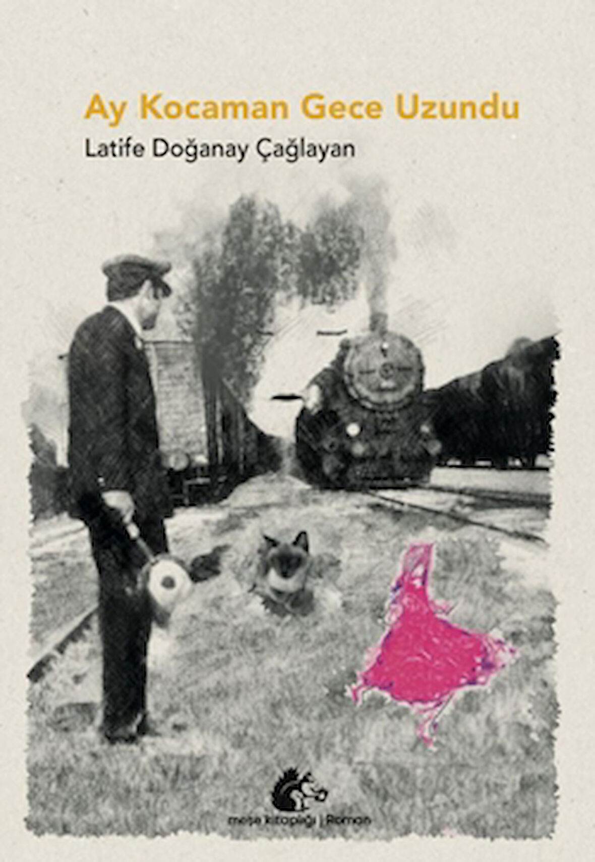 Ay Kocaman Gece Uzundu