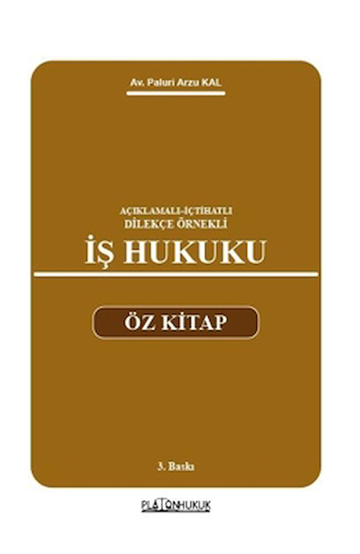 Açıklamalı–İçtihatlı–Dilekçe Örnekli İş Hukuku Öz Kitap