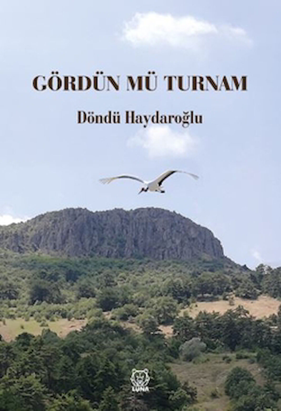 Gördün Mü Turnam