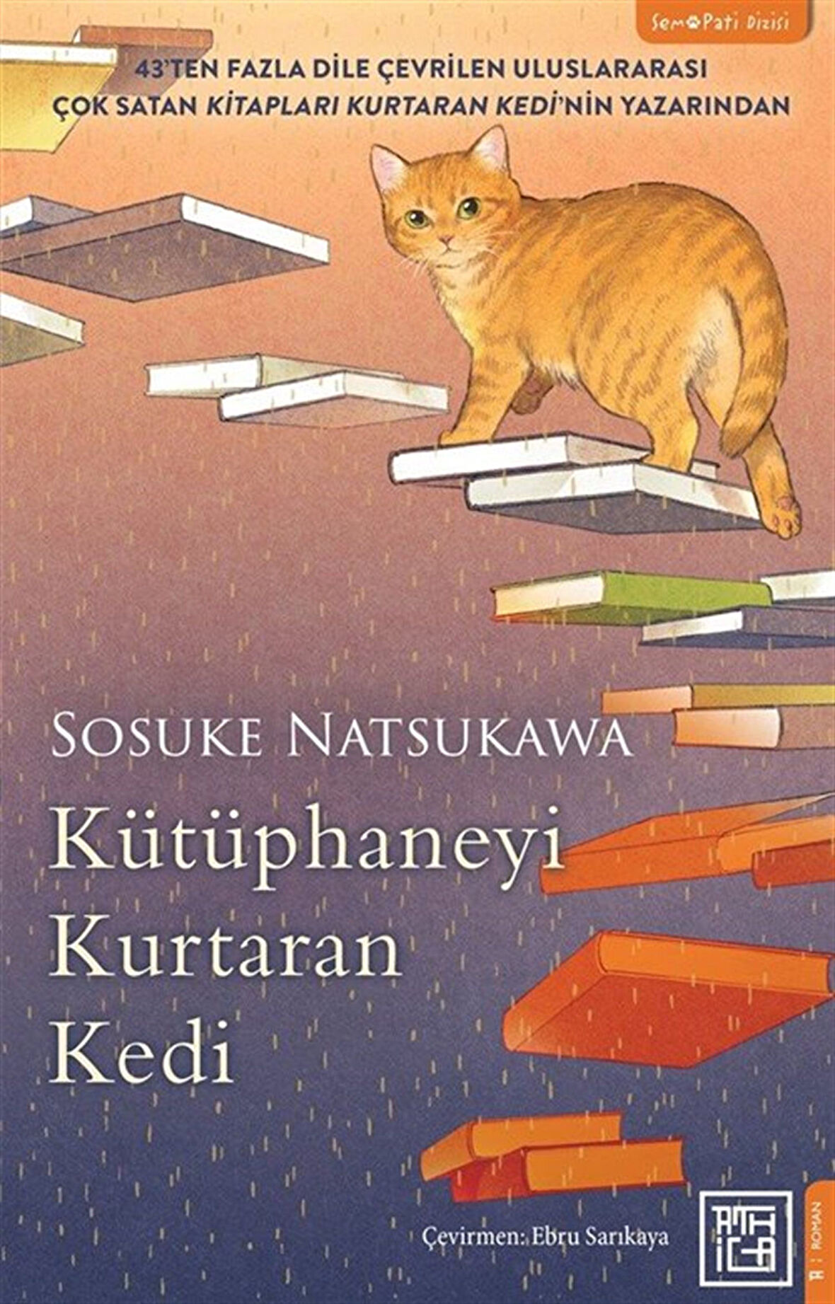 Kütüphaneyi Kurtaran Kedi / Sosuke Natsukawa
